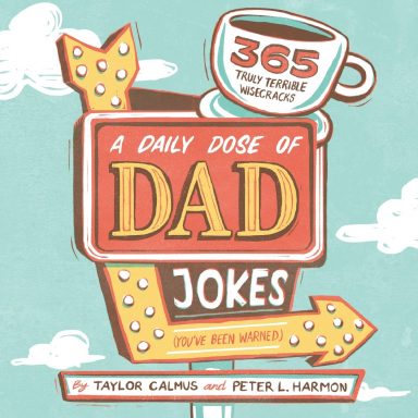unique products dad jokes book