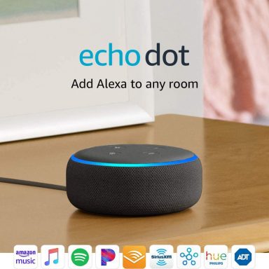 unique products echo dot