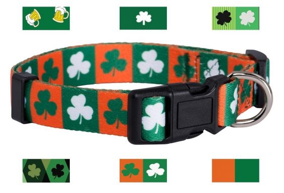 shamrock dog collar for a st patrick's day pet