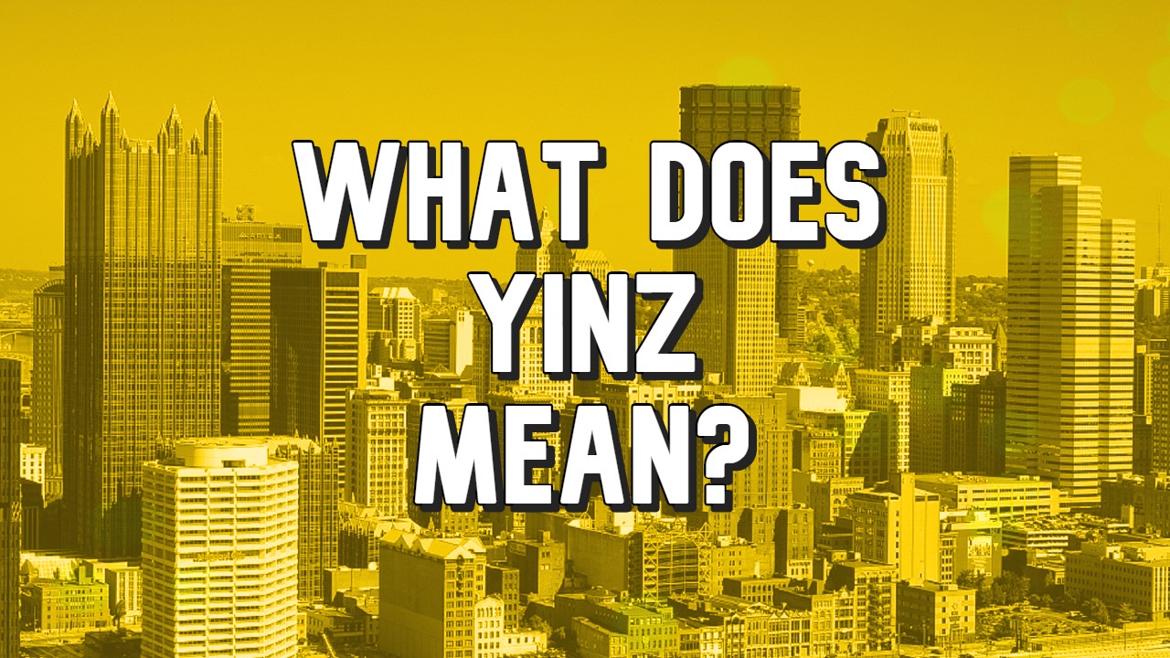 What does yinz mean