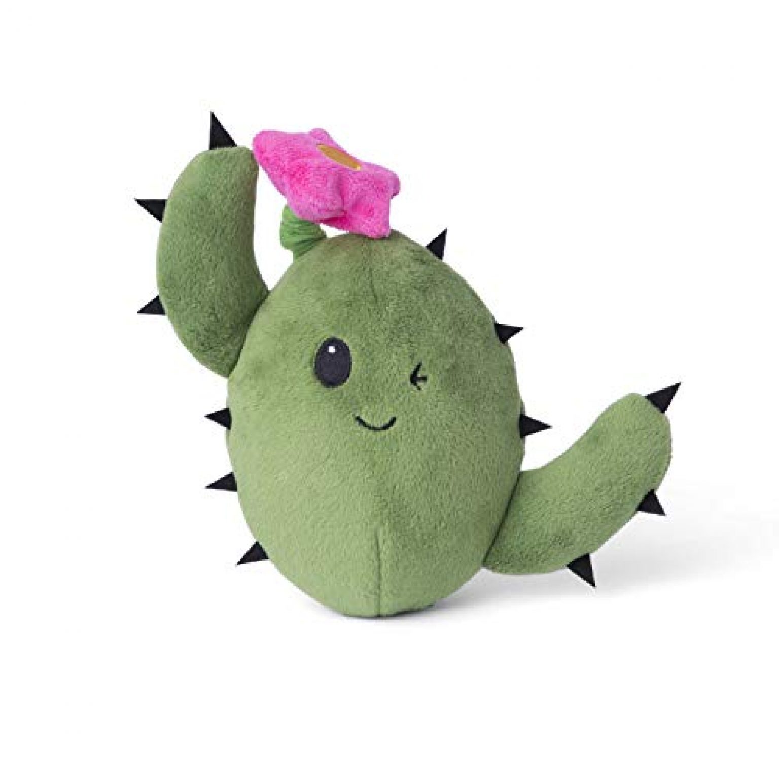 consuela the cactus amazon