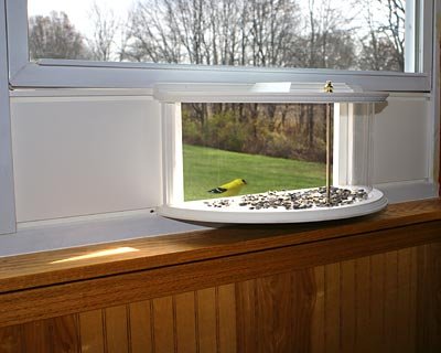 buy window bird feeder