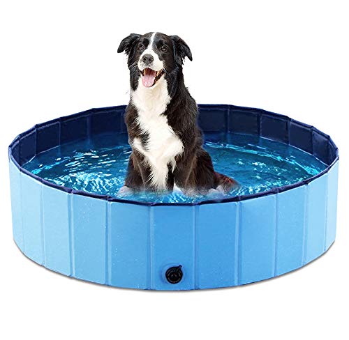 foldable dog pool