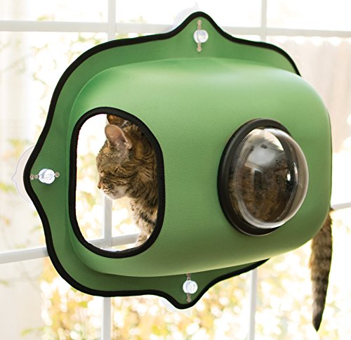 bubble pod cat house