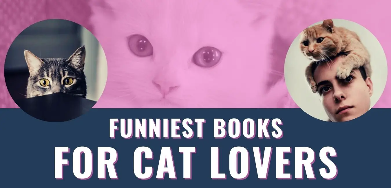 Cat Jokes and Humor 10 Best and Funniest Books for Cat Lovers yinzbuy