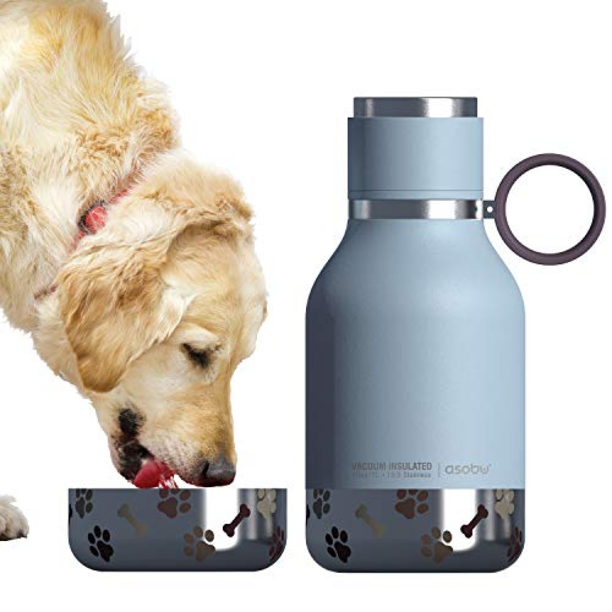 Asobu Combo Dog Bowl Water Bottle Best Pet Hydration Idea Yinz Buy