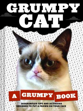 cat jokes grumpy cat a grumpy book for cat owners