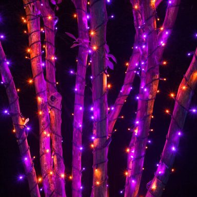 halloween decorations string lights