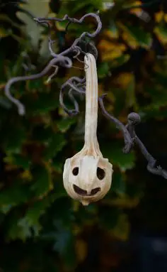 how to decorate a halloween tree outdoor