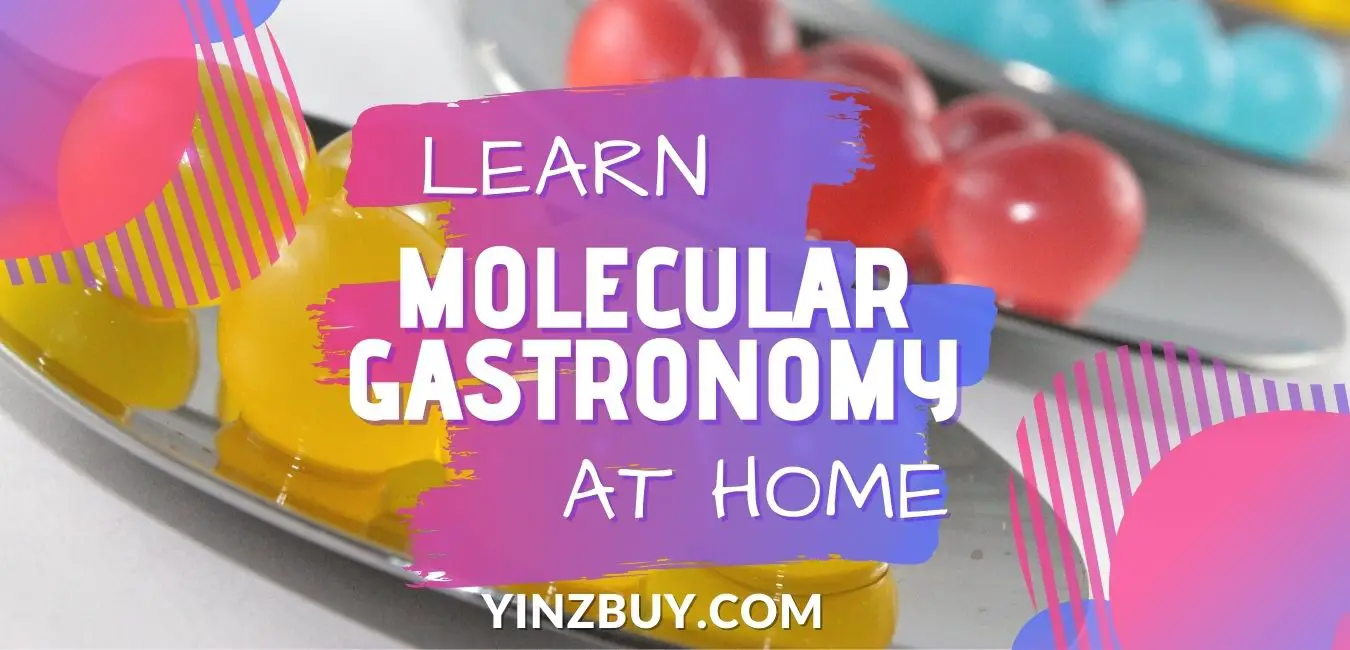 learn molecular gastronomy at home a beginner guide yinzbuy