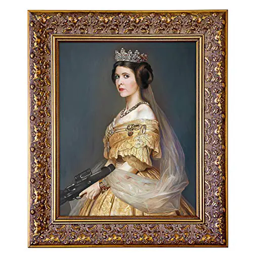 princess leia art framed star wars oil painting yinzbuy