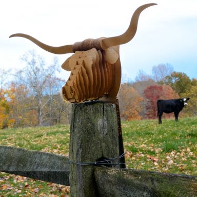 cardboard faux taxidermy ranch animal mounted longhorn head