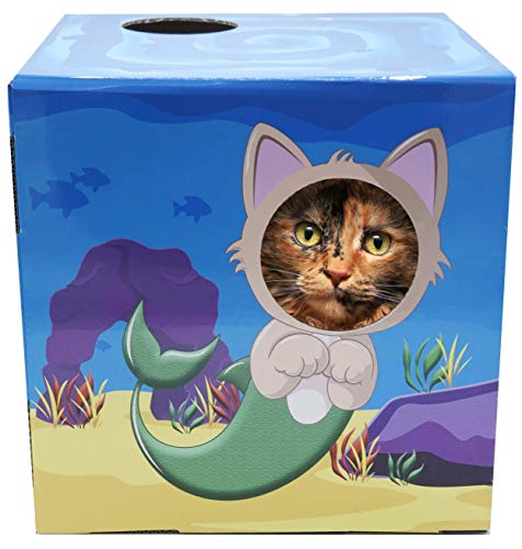 doyenworld cat fun box with scratching pad underwater ocean design yinzbuy