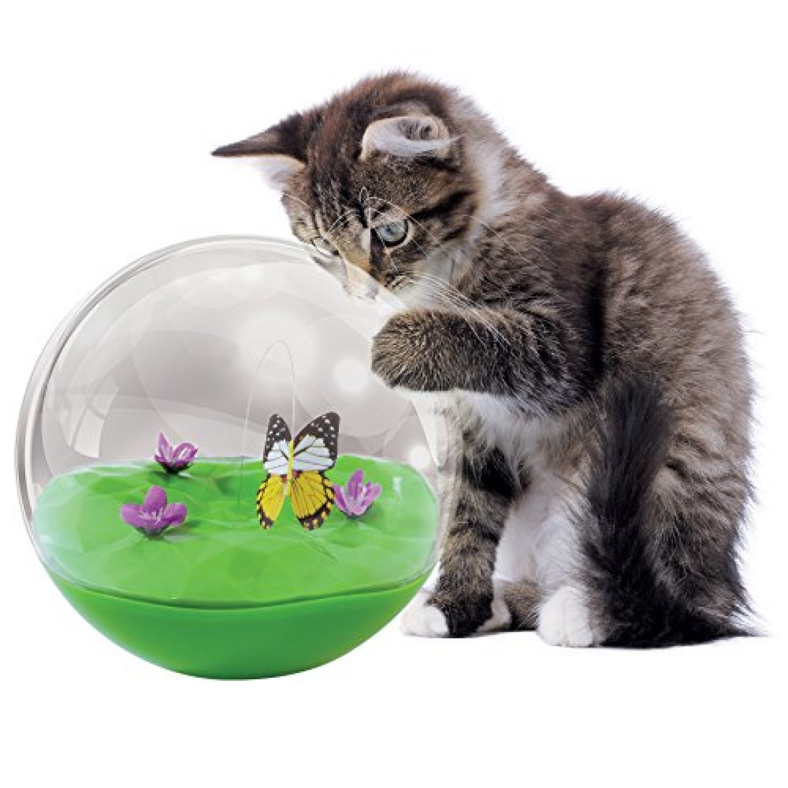 butterfly ball cat toy