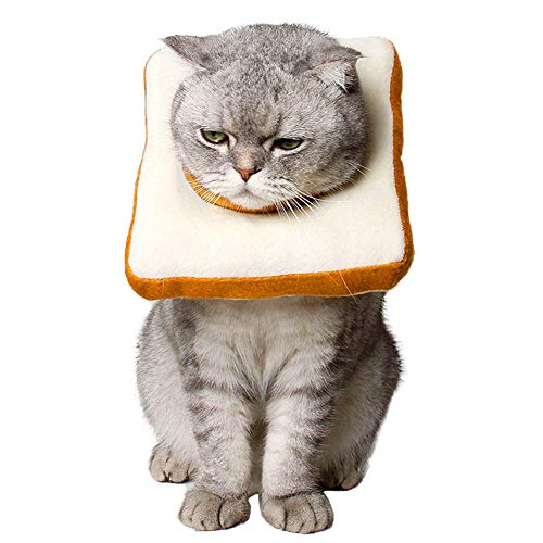 cat bread collar soft plush toast e collar recovery cone yinzbuy