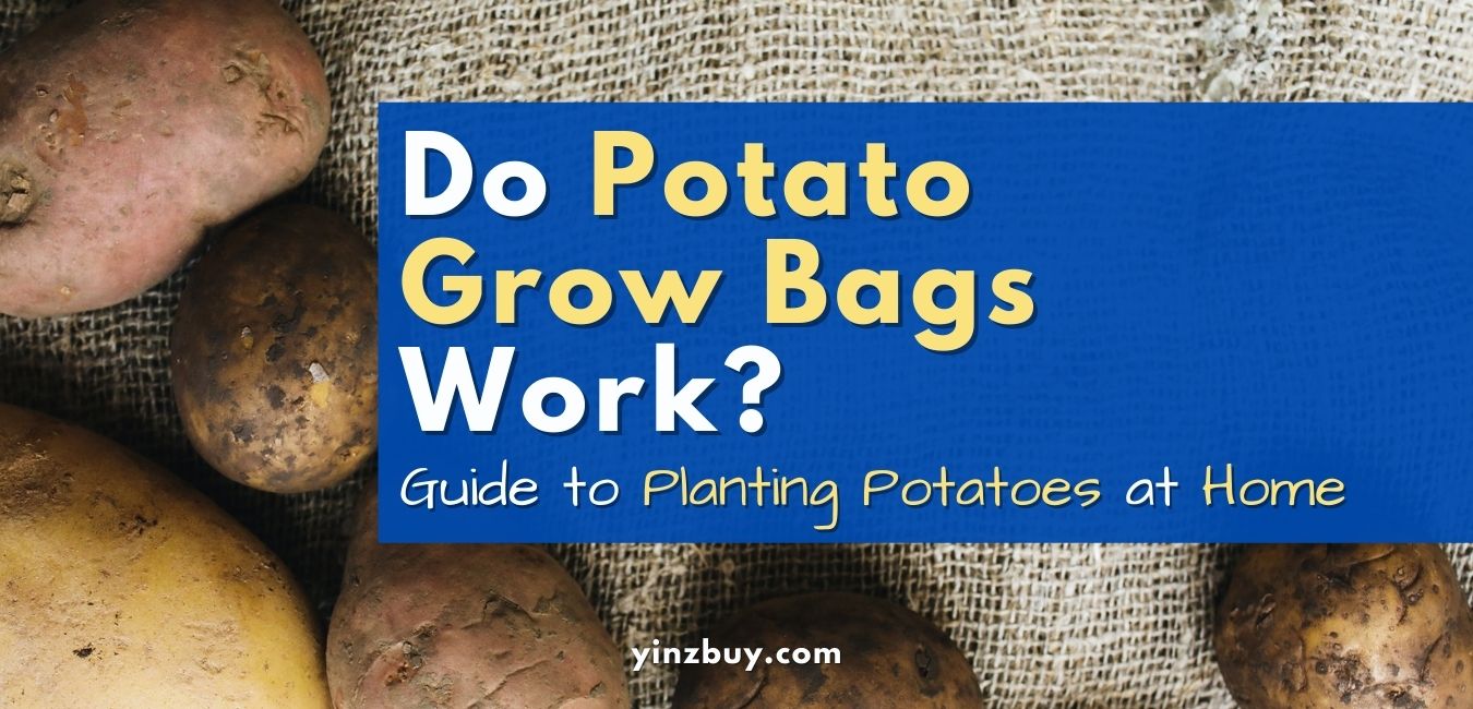 do potato grow bags work a guide to growing potatoes at home by yinzbuy
