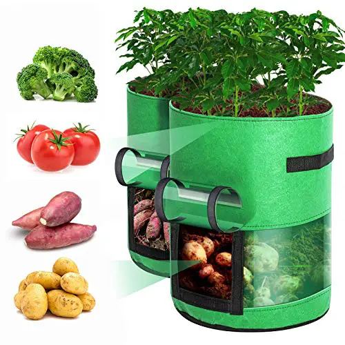 grow bags plant potatoes tomatoes onions carrots and vegetables at home yinzbuy