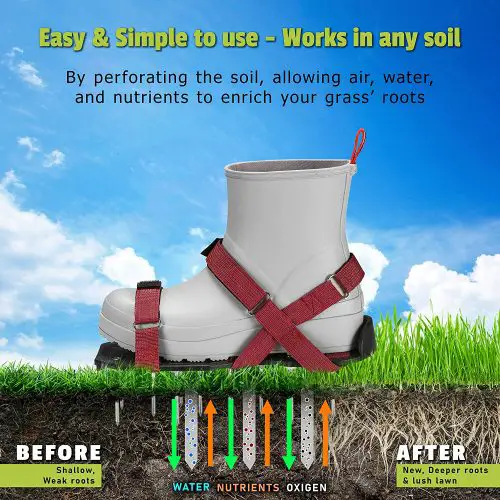 lawn aerator shoes works on any soil to help lawn health