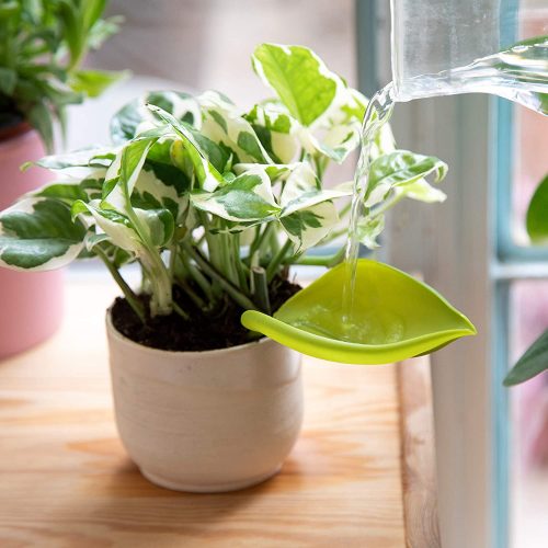 plant watering funnel leaflow indoor planter pot accessory for mess free watering