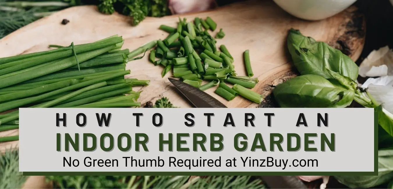 how to start an indoor herb garden no green thumb required yinzbuy