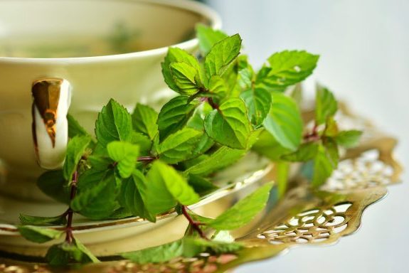 indoor herb garden easy to grow mint