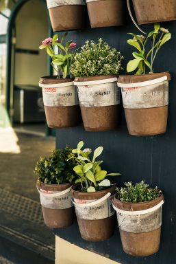 indoor herb garden potted plants on a wall