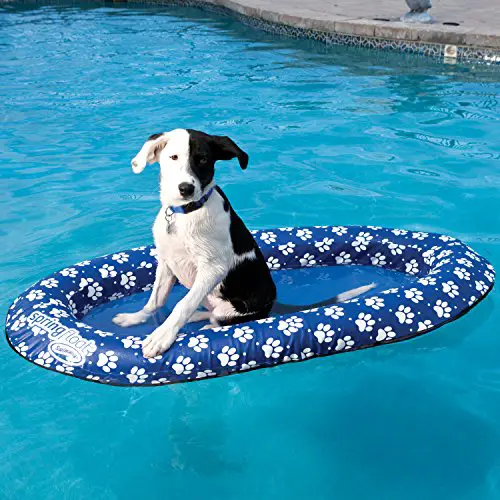 dog raft paddle paws floating backyard pool toy yinzbuy
