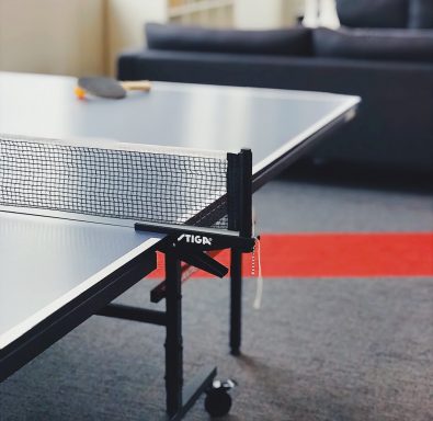 standard ping pong and table tennis net