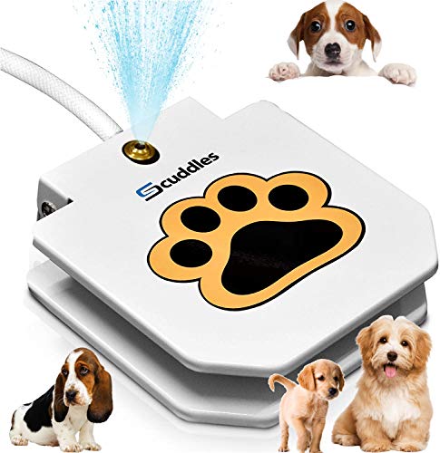 dog sprinkler paw activated step on water fountain yinzbuy