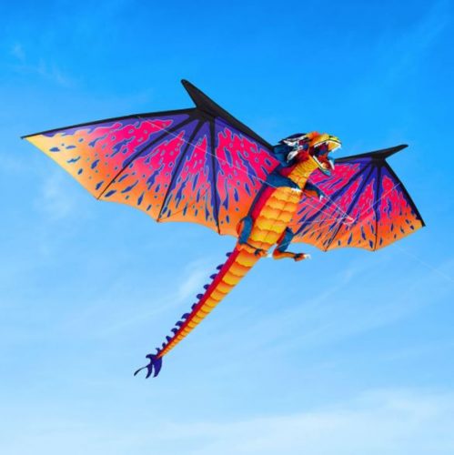 giant 3d dragon kite