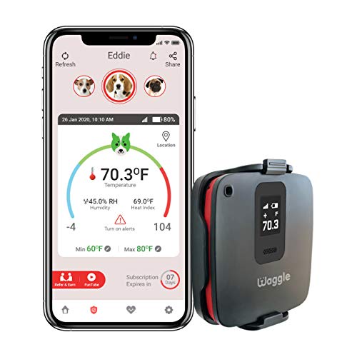 waggle pet monitor and temperature sfety sensor for dog and rv camping yinzbuy