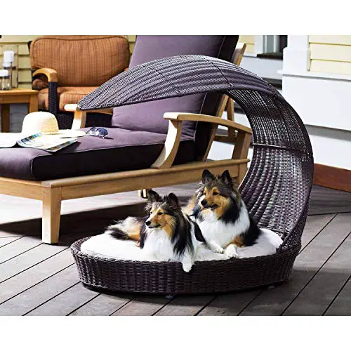 chaise lounge dog bed outdoor rattan lounger for pets yinzbuy