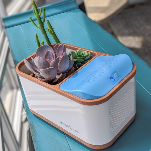 water generating dewplanter self watering planter yinzbuy