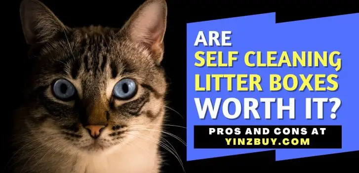 Are Self Cleaning Litter Boxes Worth It