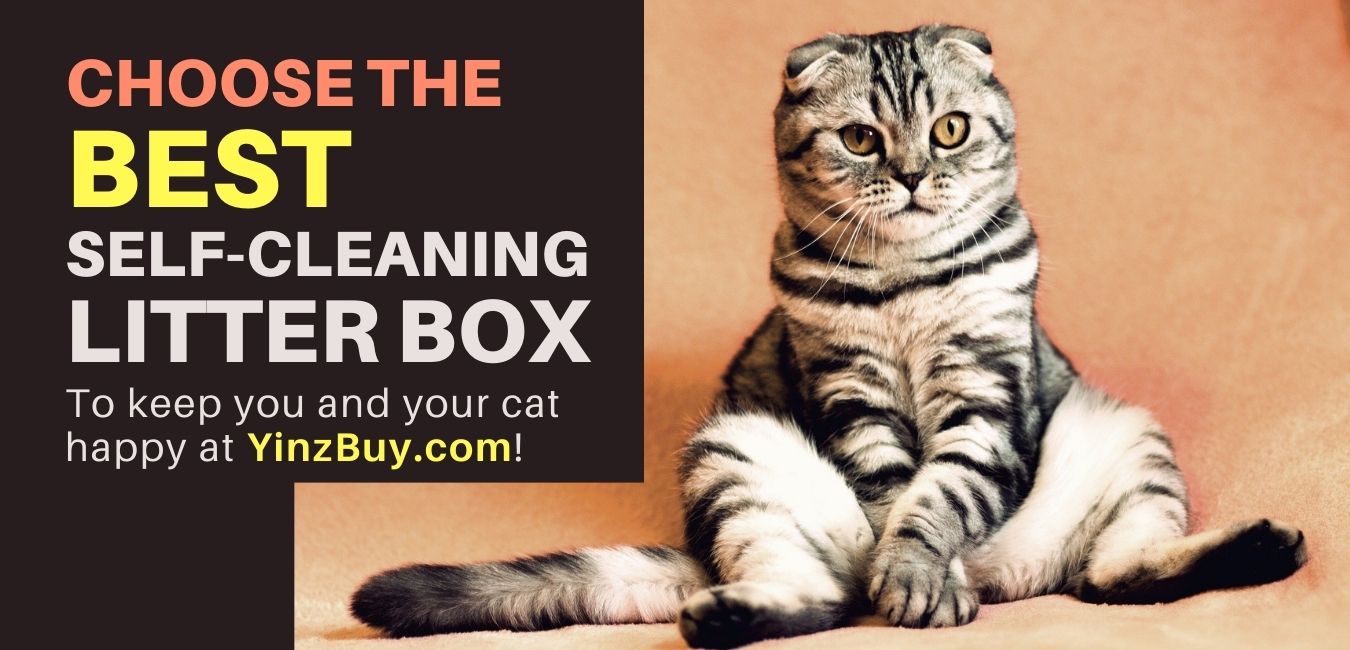 best self cleaning litter box choices for your cat and home yinzbuy