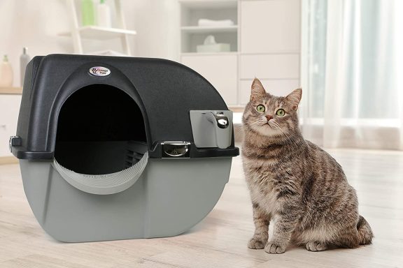 cheapest self cleaning litter box omega paw roll n clean