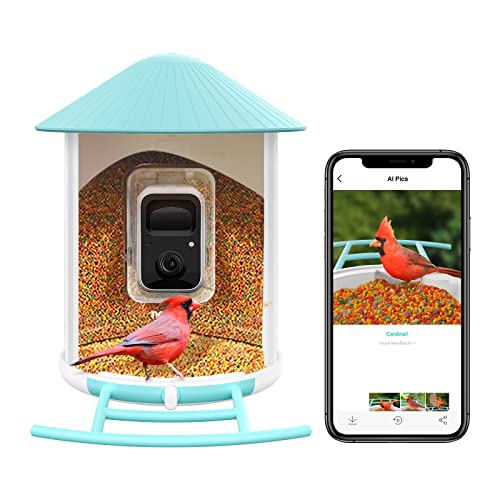 smart bird feeder with camera identifies 6000 species of birds yinzbuy