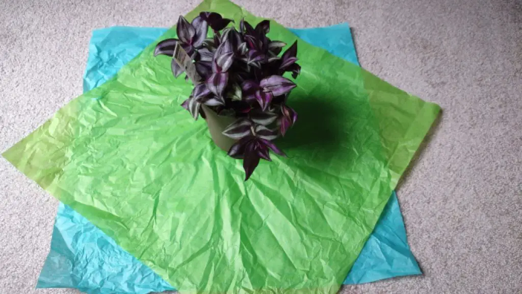 how to wrap a large planted pot step 4 place plant in the center copyright yinzbuy