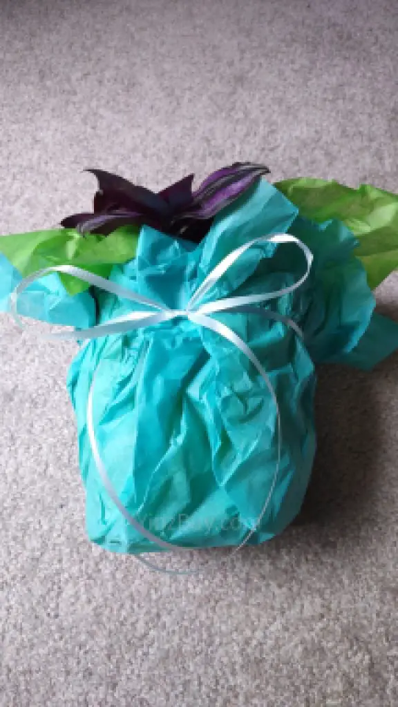 how to wrap a large planted pot step 8 secure paper with a ribbon copyright yinzbuy