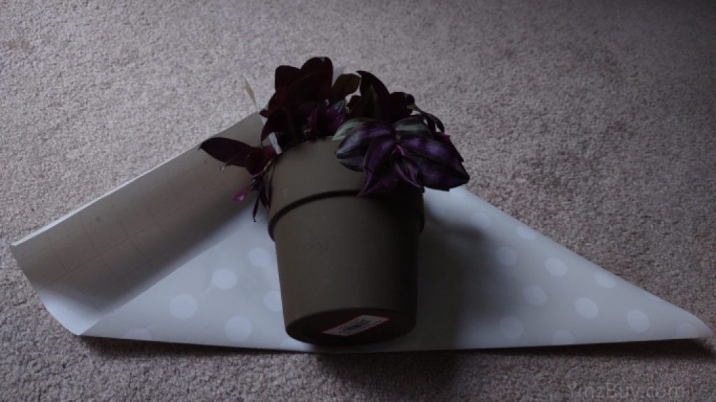 how to wrap a short plant step 4 lay plant along the straight edge copyright yinzbuy